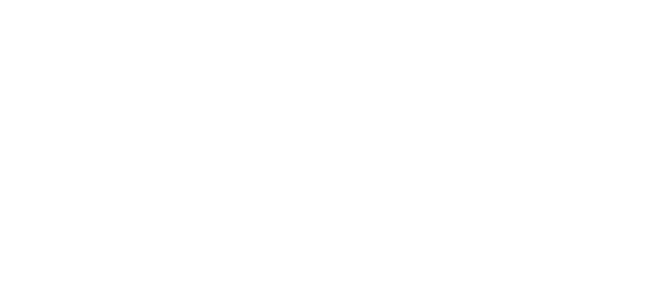 Frona Foods Logo