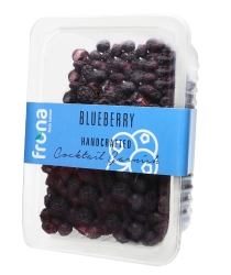 Dried Blueberry